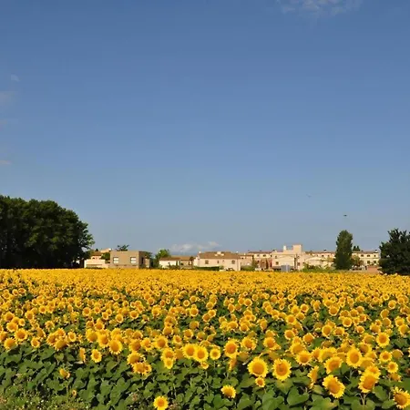 Bed & Breakfast L'hort De Sant Cebria 4*