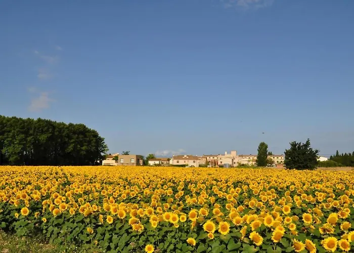 Lhort De Sant Cebria Bed & Breakfast 3*